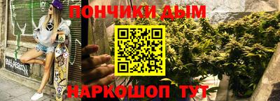 гидра Моздок
