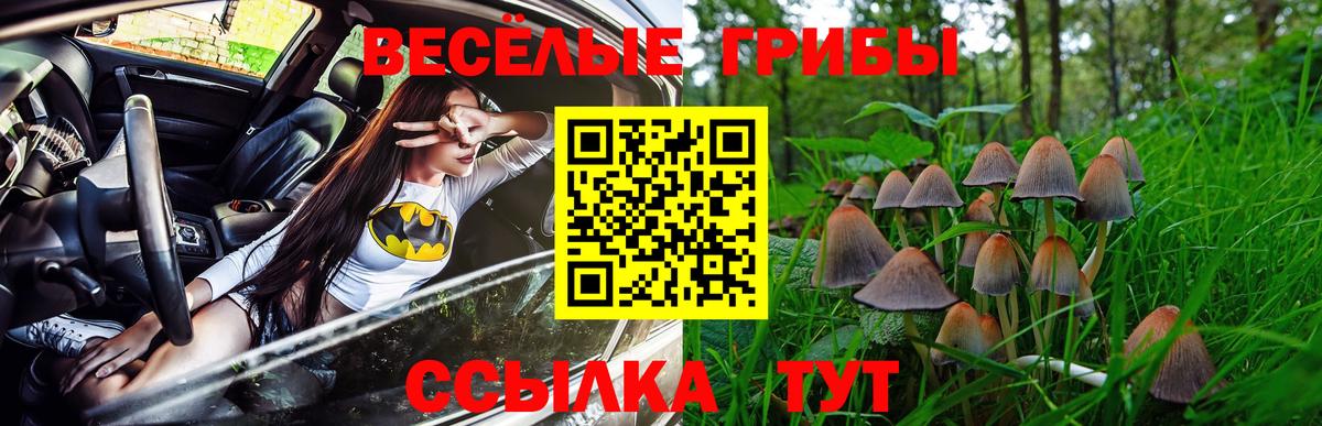 Галлюциногенные грибы GOLDEN TEACHER  Вход с VPN  Псилоцибиновые грибы Cubensis  Орёл 
